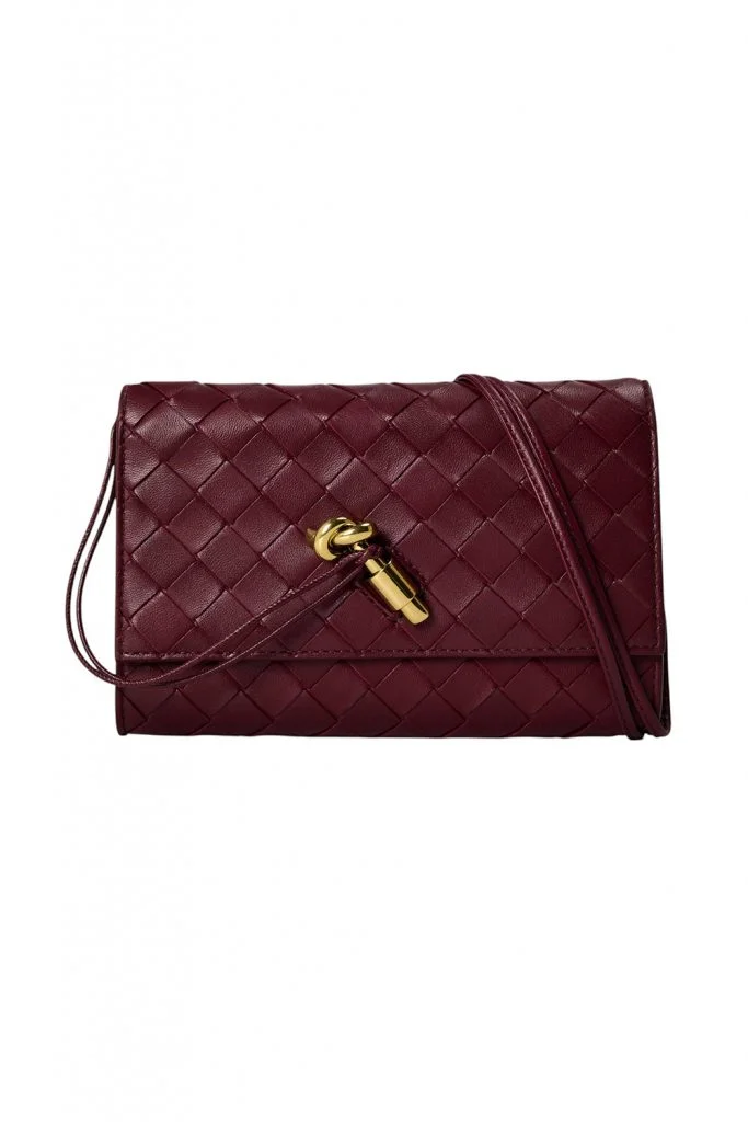 Bottega Veneta Andiamo Pouch On Strap