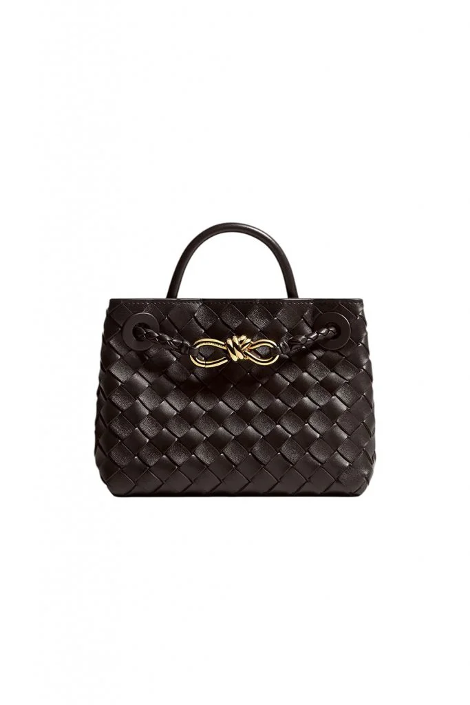 Bottega Veneta Mini Andiamo Bag