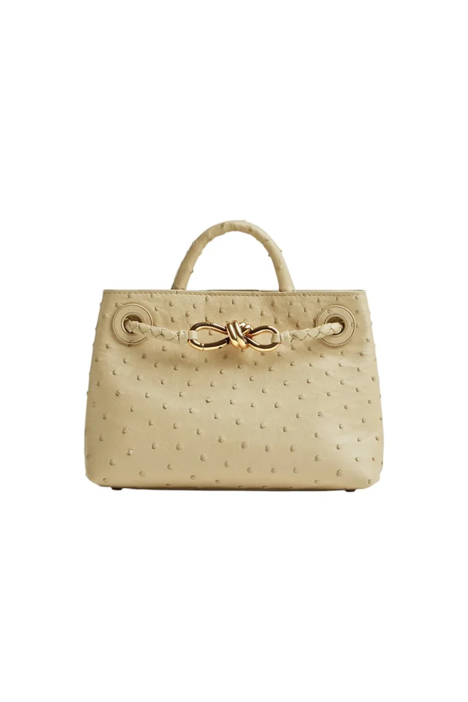 Bottega Veneta Andiamo Top Handle Bag