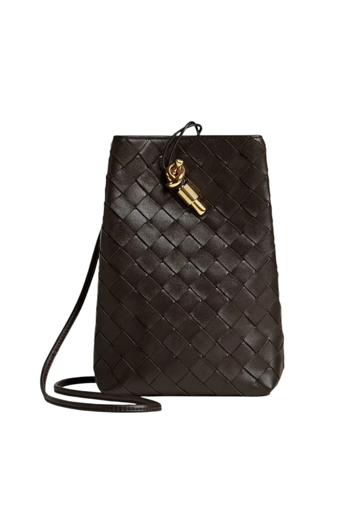 Bottega Veneta Andiamo Phone Pouch