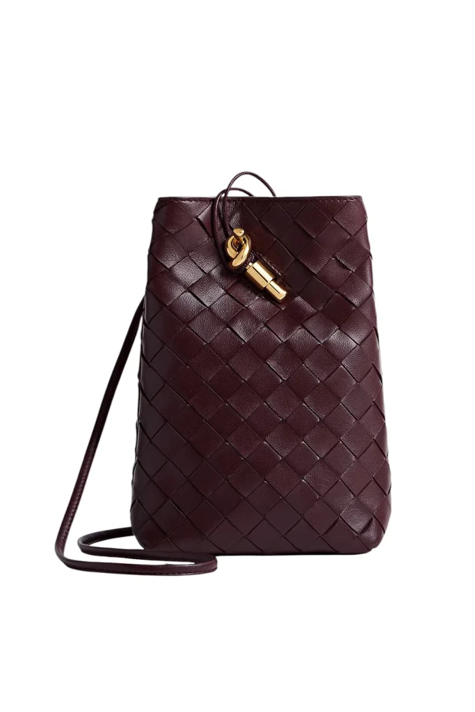 Bottega Veneta Andiamo Phone Pouch